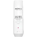 Goldwell Dualsenses Silver - Silver Shampoo